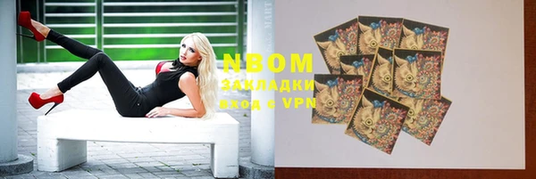 индика Баксан