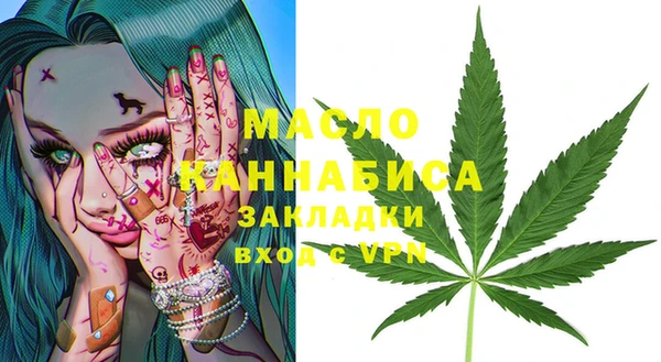 индика Баксан