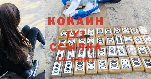 индика Баксан
