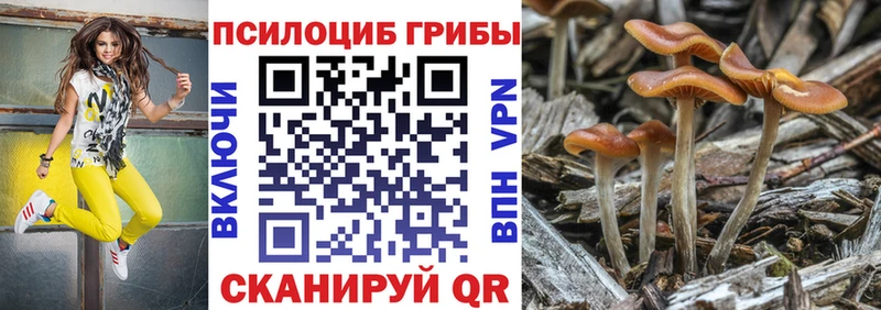 Галлюциногенные грибы GOLDEN TEACHER  Тайга 