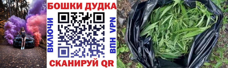 Шишки марихуана ГИДРОПОН  сколько стоит  Тайга 